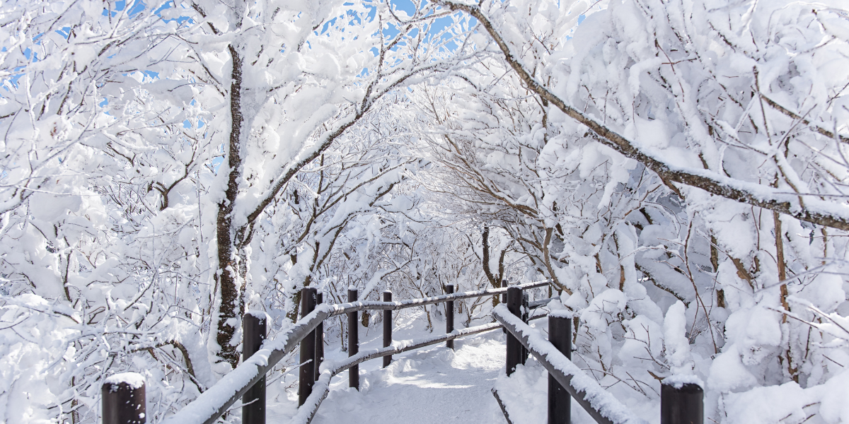 Blogové články - do textu_18